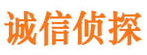 银海市侦探调查公司